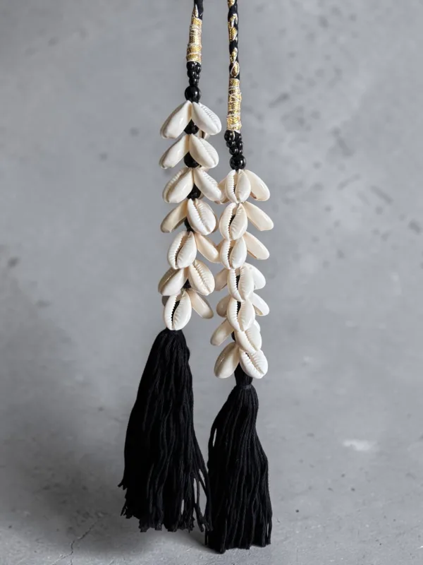 Black Cowrie Parandi